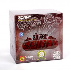Silver-Spider-min