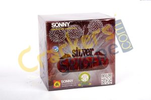 Silver Spider